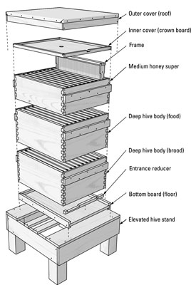 exploded diagram of a hive